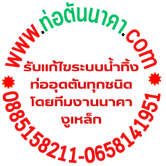 www.ท่อตันนาคา.com